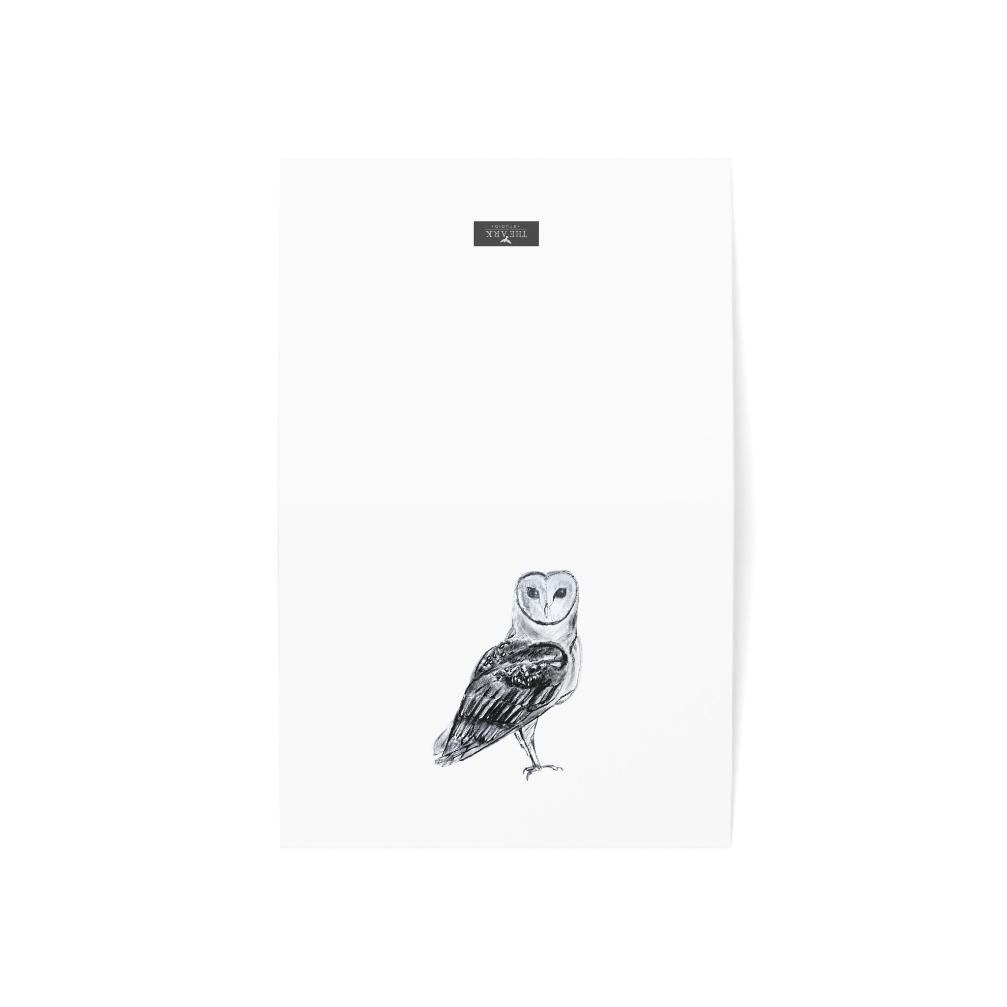 Barn Owl Greeting Cards — Pack of 1/10/30/50 Blank Note Cards for Nature Lovers