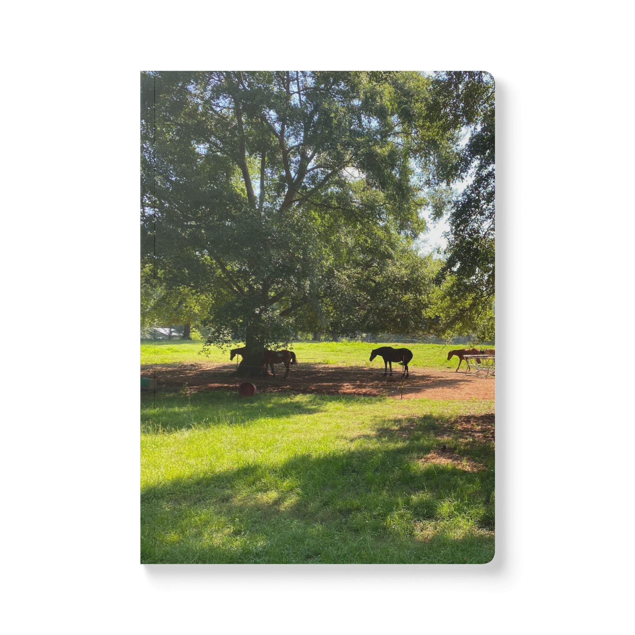 The Ark Studio Journal