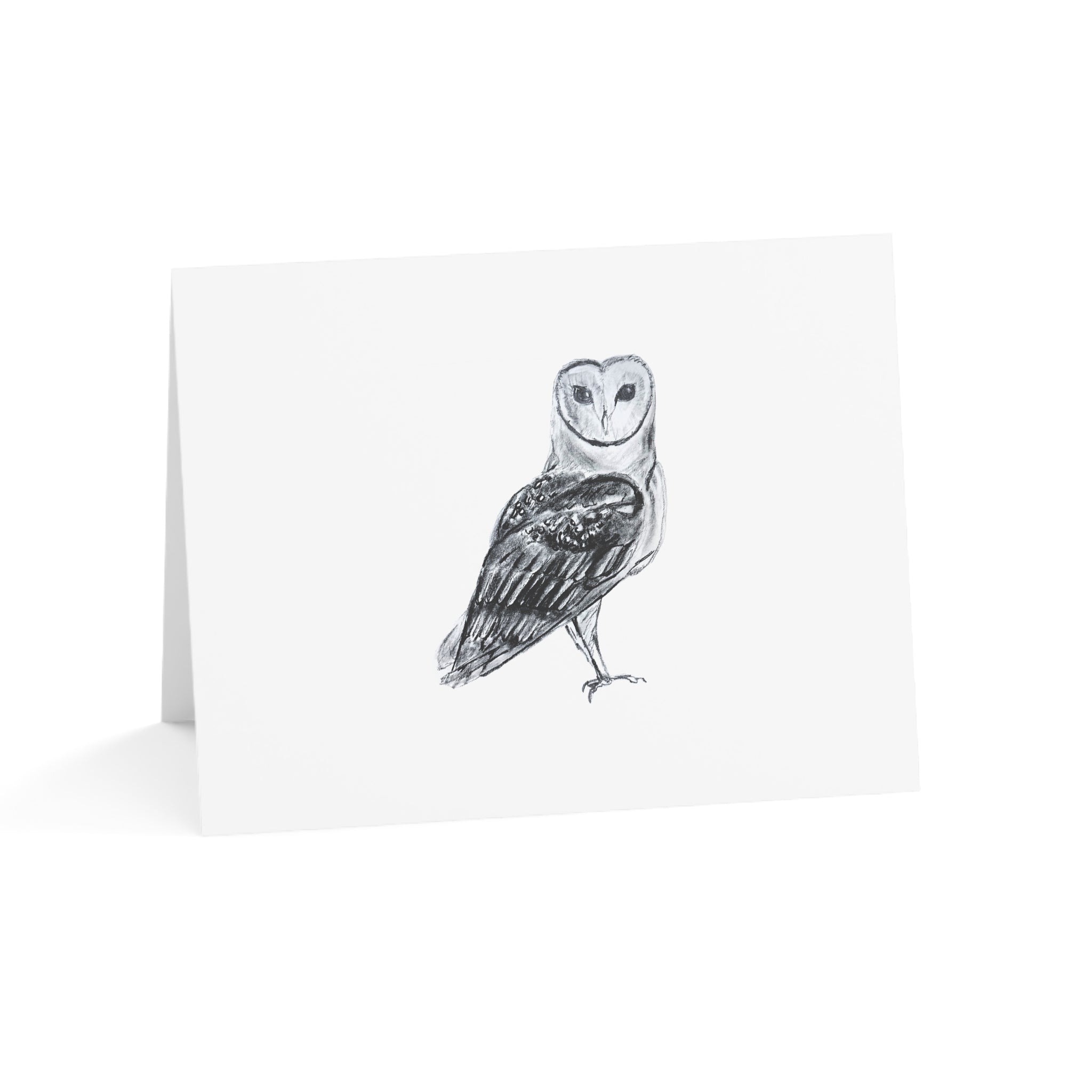 Barn Owl Greeting Cards — Pack of 1/10/30/50 Blank Note Cards for Nature Lovers